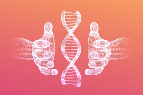 DNA sequence in hands. Wireframe DNA molecules structure mesh. DNA code editable template. Science and Technology concept. Vector illustration. DNA sequence in hands. Wireframe DNA molecules structure mesh. DNA code editable template. Science and Technology concept. Vector illustration